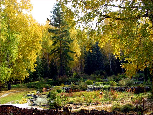 Botanical gardens